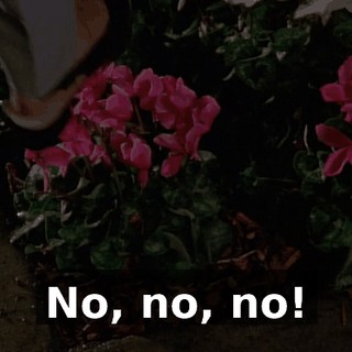 No, no, no!