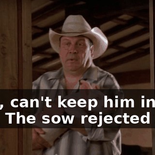 Well, can't keep him in the pen. The sow rejected him.