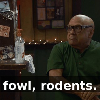 44506629-91fb-4b41-8d62-1fd016e3bbc6.gif