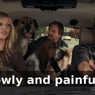 4458c6ad-3374-434c-b9c6-65be6a2ce4e5.gif