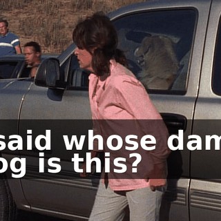 I said whose damn dog is this?