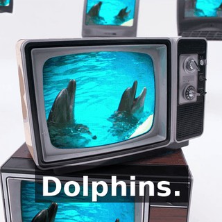 44e5a50a-f520-4450-8d3b-e6f5ea63fe1e.gif