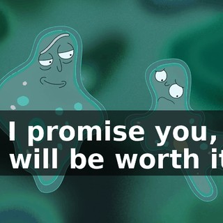 453b5d8c-0261-460e-abe3-fa0586bbce7a.gif