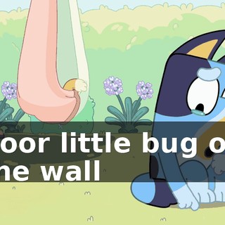 ♪ Poor little bug on the wall ♪