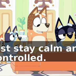45be03ea-8681-40a3-93d8-8cdee93c4029.gif