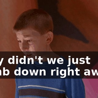 Why didn't we just climb down right away?