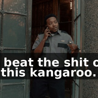 I'll beat the shit out of this kangaroo.