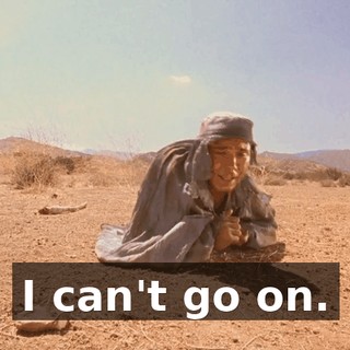 I can't go on.