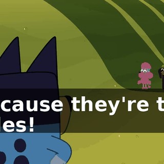 Because they're the rules!