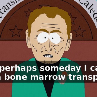 Yes, perhaps someday I can get a bone marrow transplant.