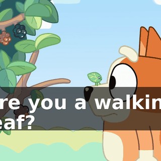 Are you a walking leaf?