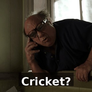 Cricket?