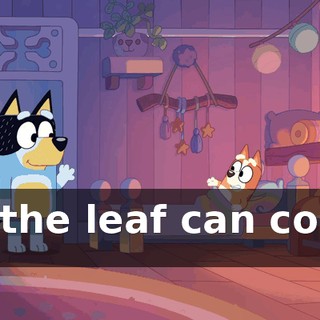 so the leaf can come in.