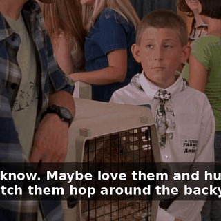 I don't know. Maybe love them and hug them and watch them hop around the backyard,