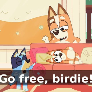 Go free, birdie!