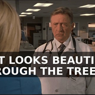 46b1b744-2f0b-4061-8e71-79b69ef56e97.gif