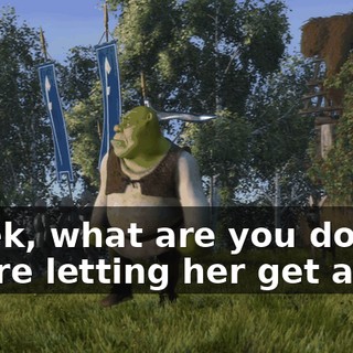 Shrek, what are you doing? You're letting her get away.