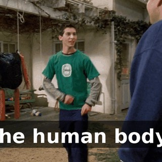 the human body.