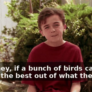 But, hey, if a bunch of birds can make the best out of what they get,