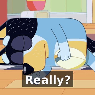Really?