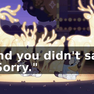 and you didn't say "Sorry."