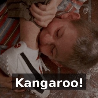 Kangaroo!