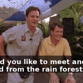 Would you like to meet another friend from the rain forest?
