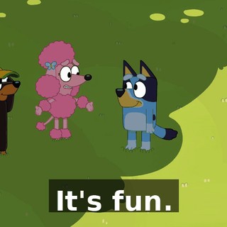 It's fun.