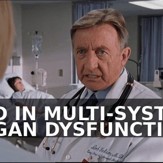 47d908c0-8a94-44a5-bfc6-9024eb61fcee.gif
