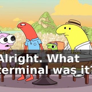 Alright. What terminal was it?