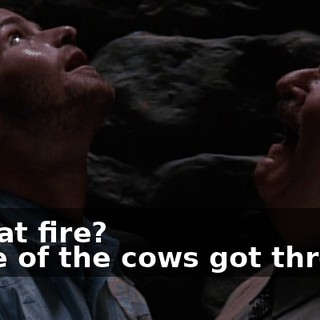 - What fire? - One of the cows got through