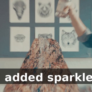 48352597-dcfb-4d77-a91d-ca18c1f67138.gif
