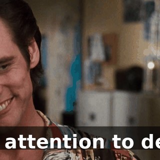 4891d94b-0f50-4226-a13a-b41c0dea7157.gif