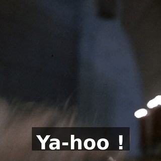 Ya-hoo !