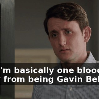 and I'm basically one blood boy away from being Gavin Belson.