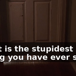 That is the stupidest thing you have ever said!