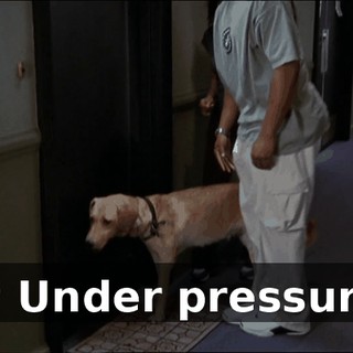 493ab3d3-cdf9-4f3c-8588-4c1d6da7a866.gif