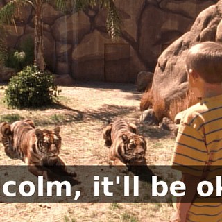 Malcolm, it'll be okay.