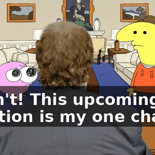 I can't! This upcoming election is my one chance