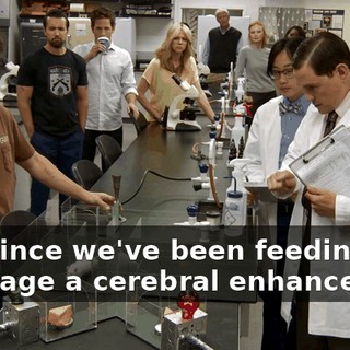 49b8b9f4-c998-44c6-92cc-682e61dd0698.gif