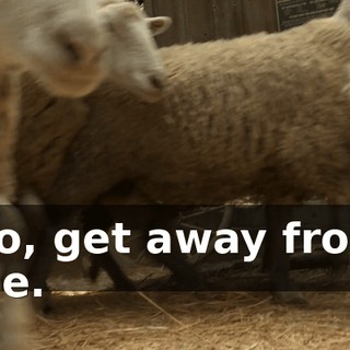 49f09489-8341-4866-86e6-95983952bd4c.gif