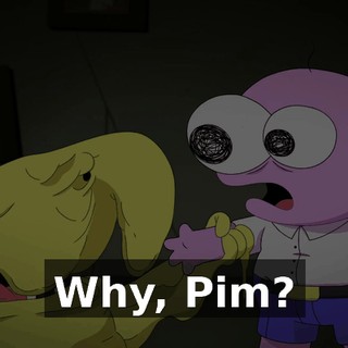 Why, Pim?