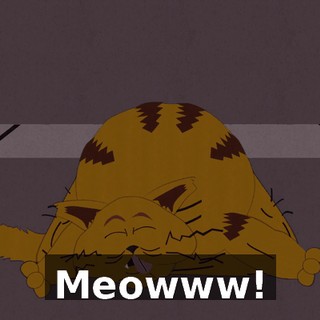 Meowww!