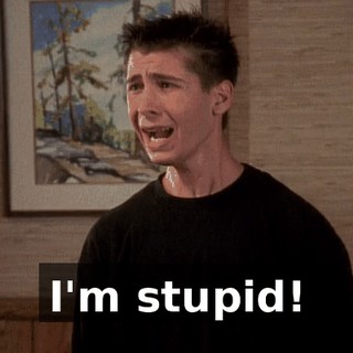 I'm stupid!