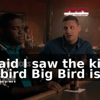 I said I saw the kind of bird Big Bird is.