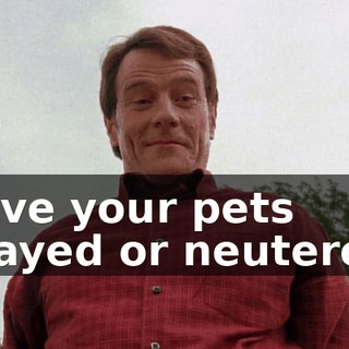 Have your pets spayed or neutered.