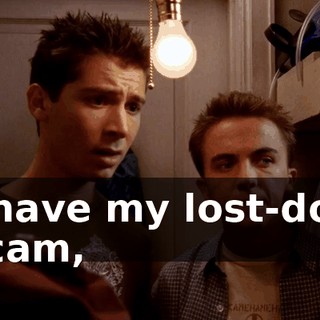I have my lost-dog scam,