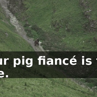 4afdbb1f-7c5d-47db-aaaf-c86c148795ca.gif