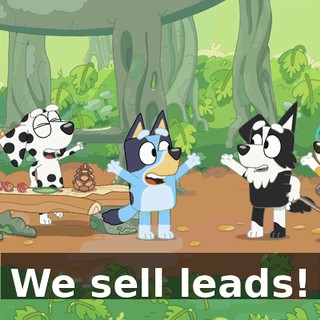 We sell leads!
