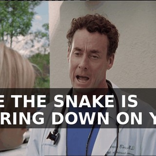4b08159b-3370-4994-966b-56f66e2c4b66.gif
